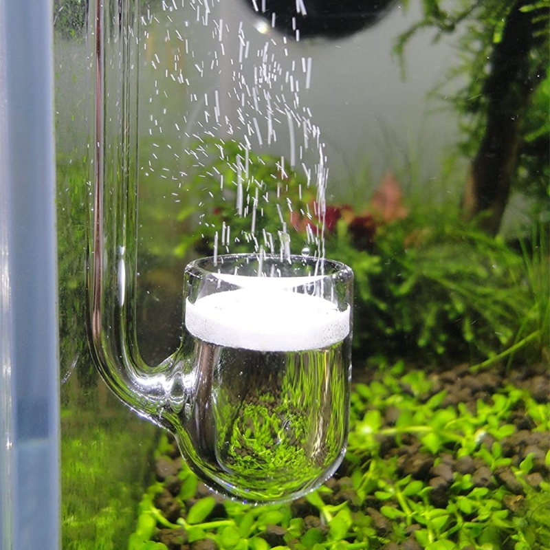 Aquarium Liquid Carbon - D0AD Стеклянный диффузор CO2 для аквариума,