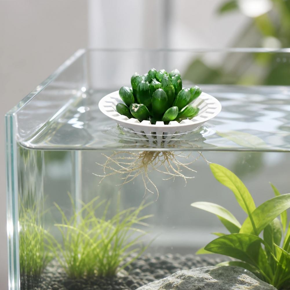 Aquarium Plant Holder - Аквариумный гидропонный держатель для растений, напечатанный