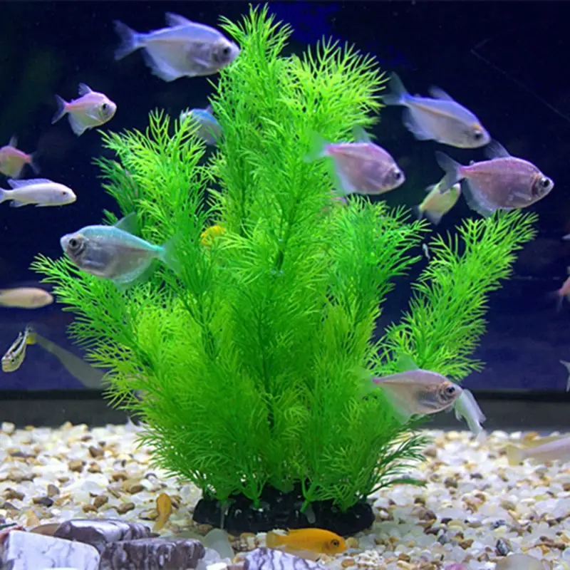 Aquarium Plants Live - Искусственные растения для декора аквариума, подводная