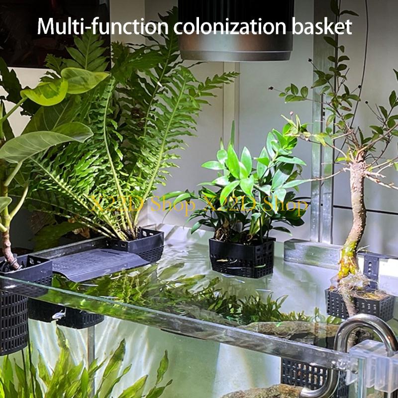 Aquarium Plant Holder - X22D Современный древний стиль Вертикальный держатель