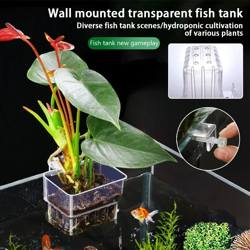 Plant Aquarium Pot - Навесные кашпо для аквариума, настенные держатели