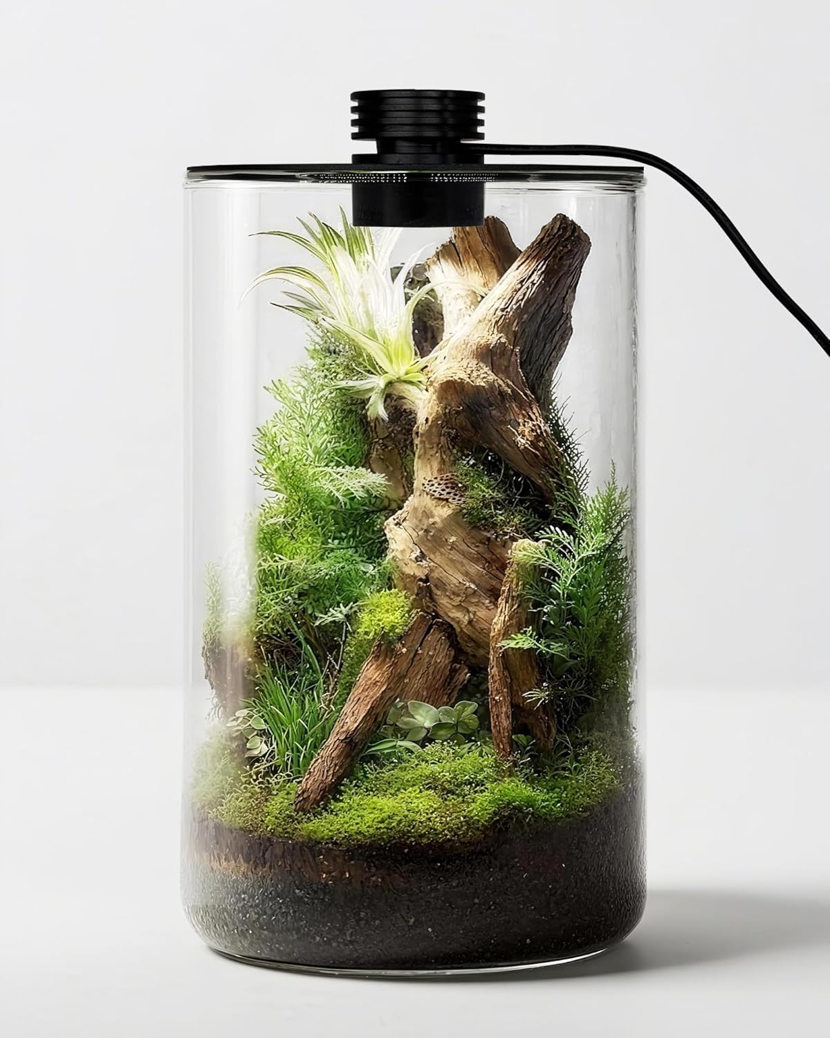Planted Tank - Стеклянный террариум для помещений с лампой