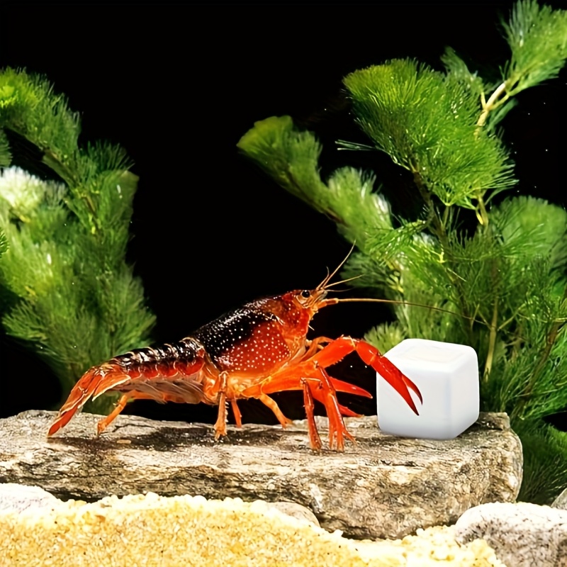 Aquarium Plants Live - 6 шт. Кальциевых блоков для аквариума,