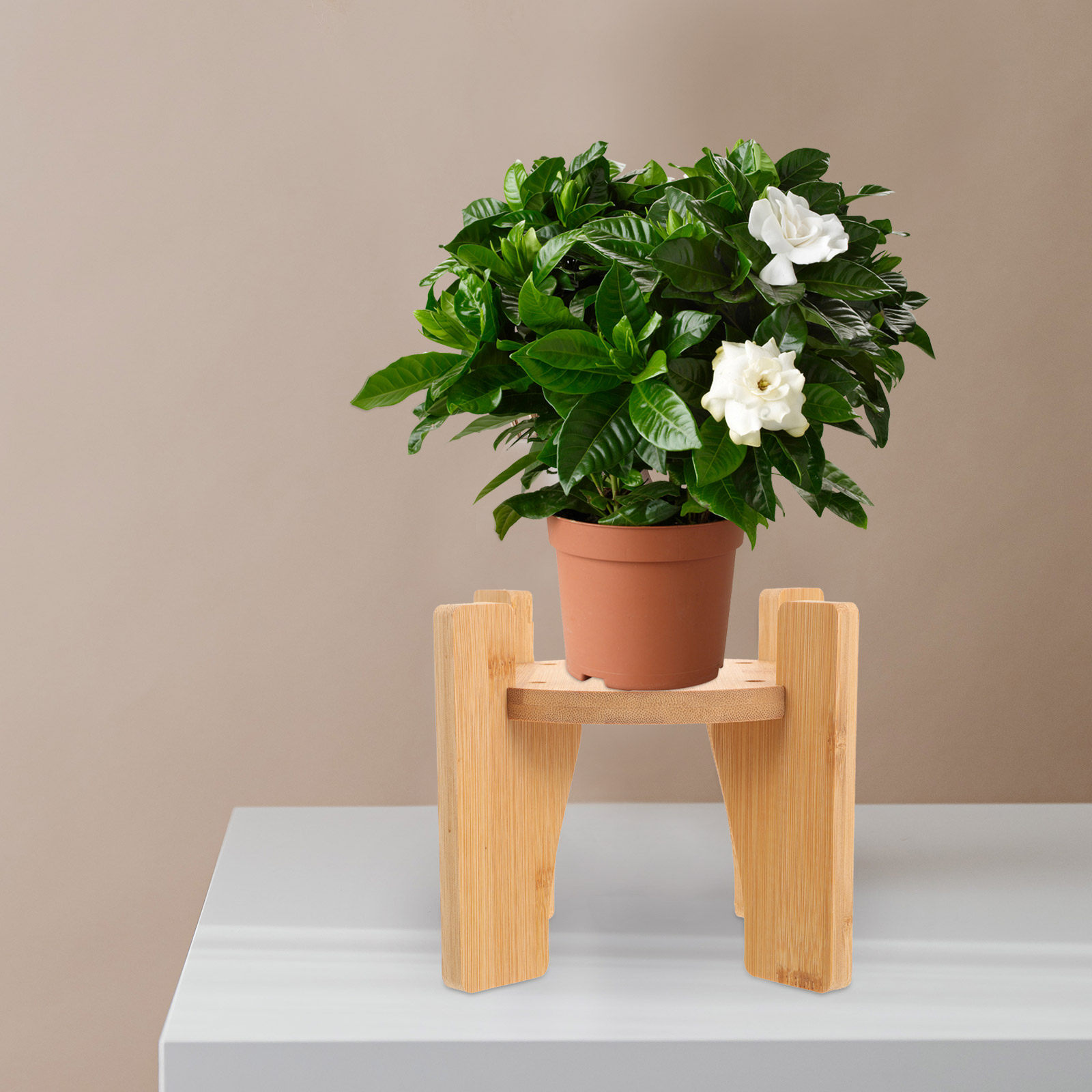 Planted Tank - Деревянная подставка для диспенсера напитков, круглая