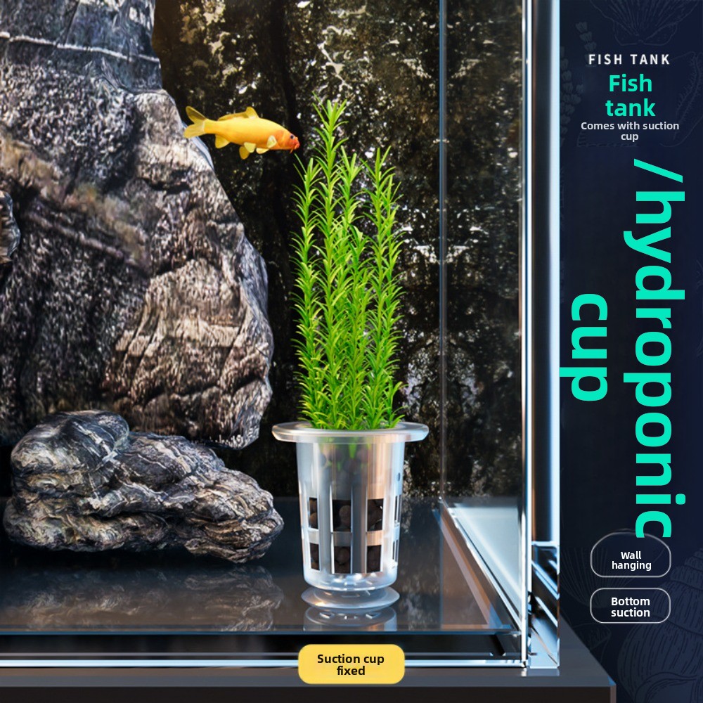 10 шт. прозрачных пластиковых  – обзор и цена Aquarium Plants Live