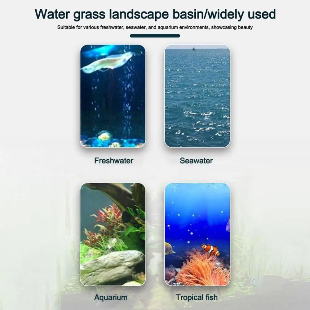 10 шт. прозрачных пластиковых  – обзор и цена Aquarium Plants Live