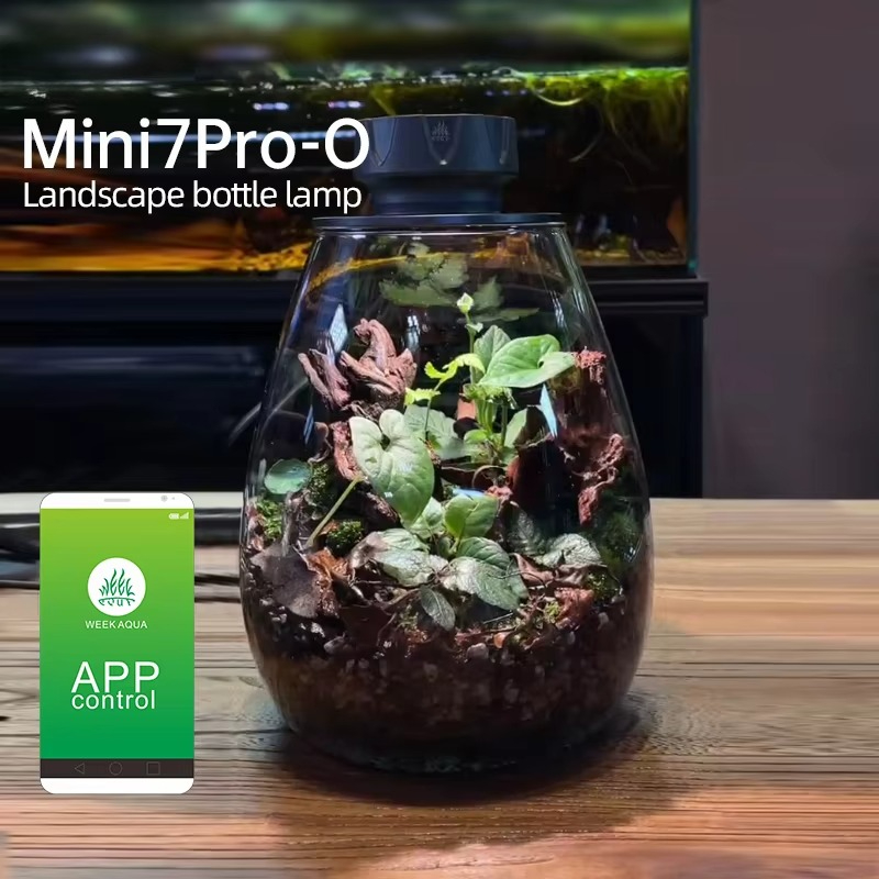 COB Микроландшафт Заполняющий  – обзор и цена Planted Tank
