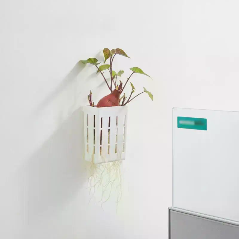 1 шт. Подвесная корзина для ги – обзор и цена Planted Tank