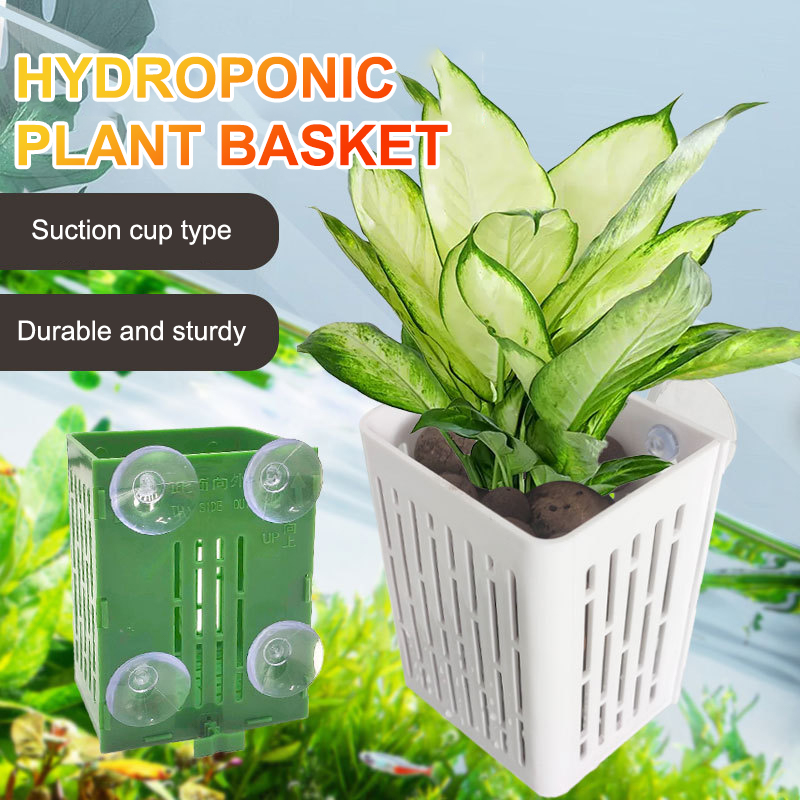 Подвесной крючок на присоске,  – обзор и цена Aquarium Plant Holder