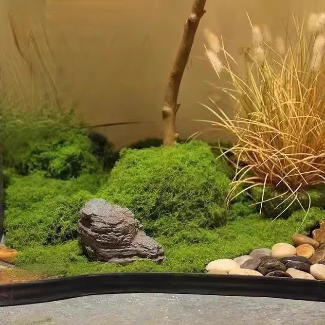 200 г. Искусственный мох «Вечн – обзор и цена Aquarium Moss