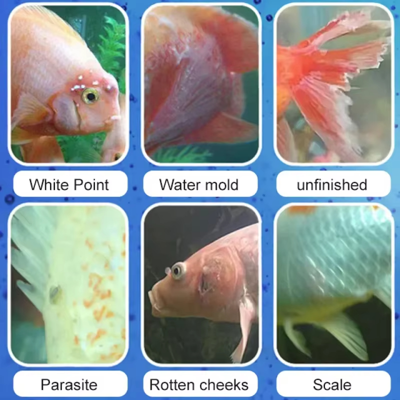SIKEZHAN Лечение и нитрифициру – обзор и цена Aquarium Fertilizer