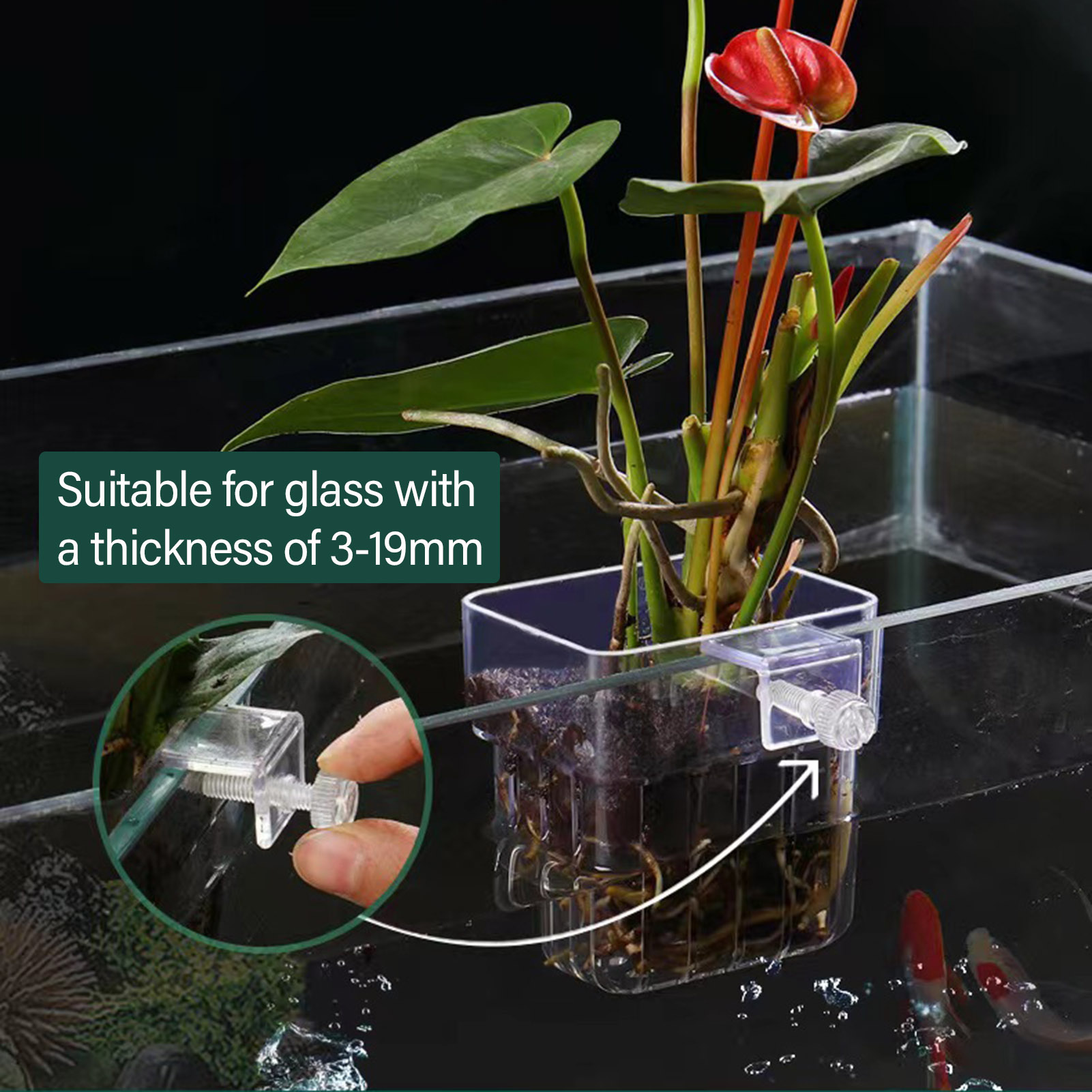 Прозрачная акриловая подставка – обзор и цена Aquarium Plant Holder