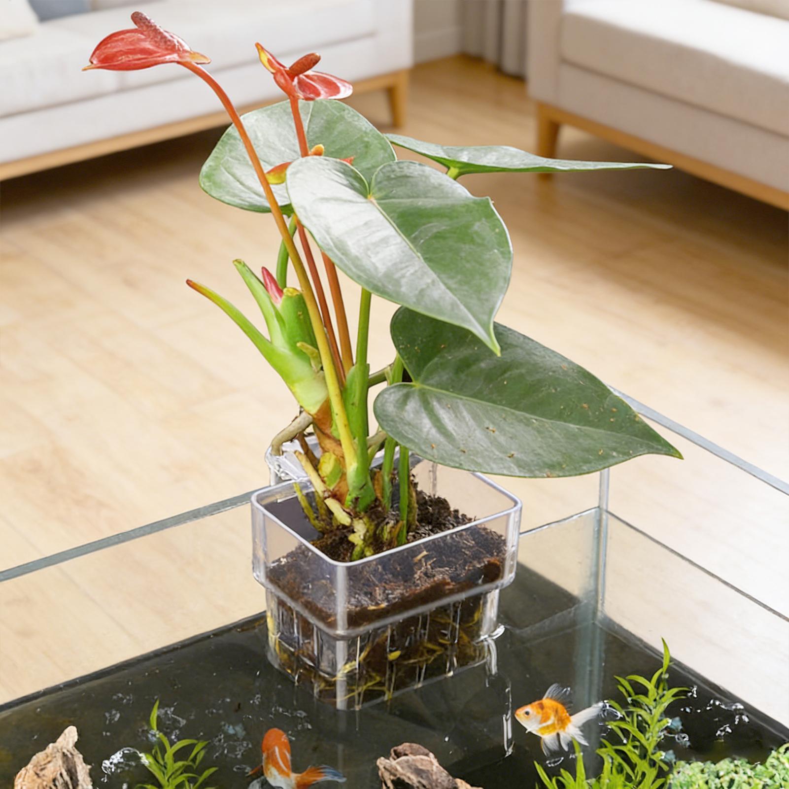Прозрачная подвесная корзина д – обзор и цена Plant Aquarium Pot