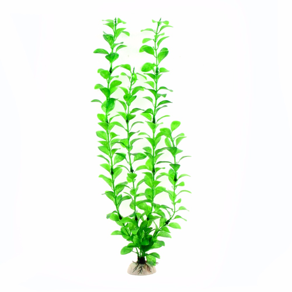 Орнамент, аксессуары для аквар – обзор и цена Aquarium Plants Live