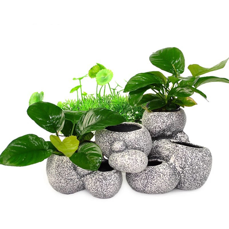 Инкубационное укрытие для рыб, – обзор и цена Plant Aquarium Pot