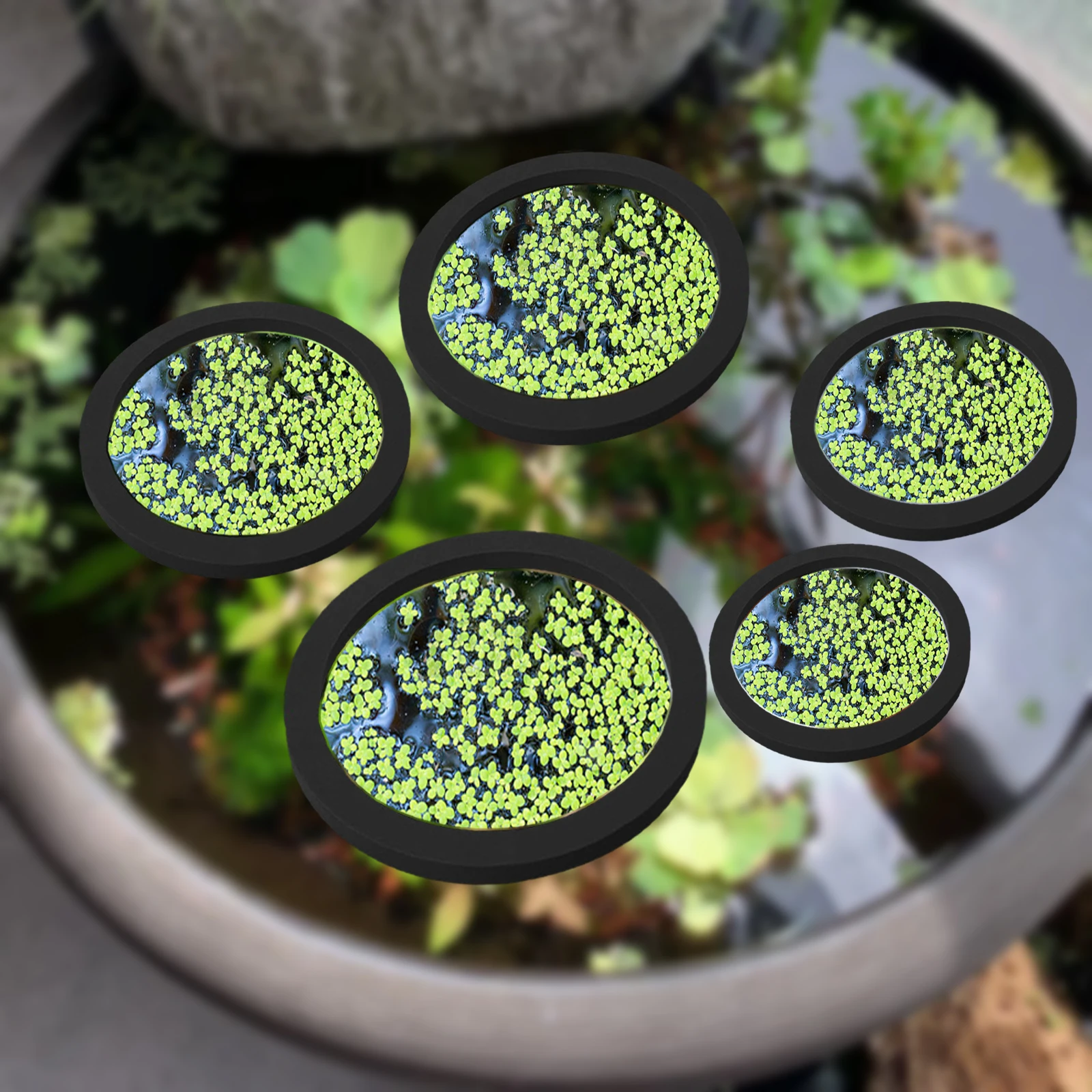 5 шт., кольцо для кормления ры – обзор и цена Planted Tank