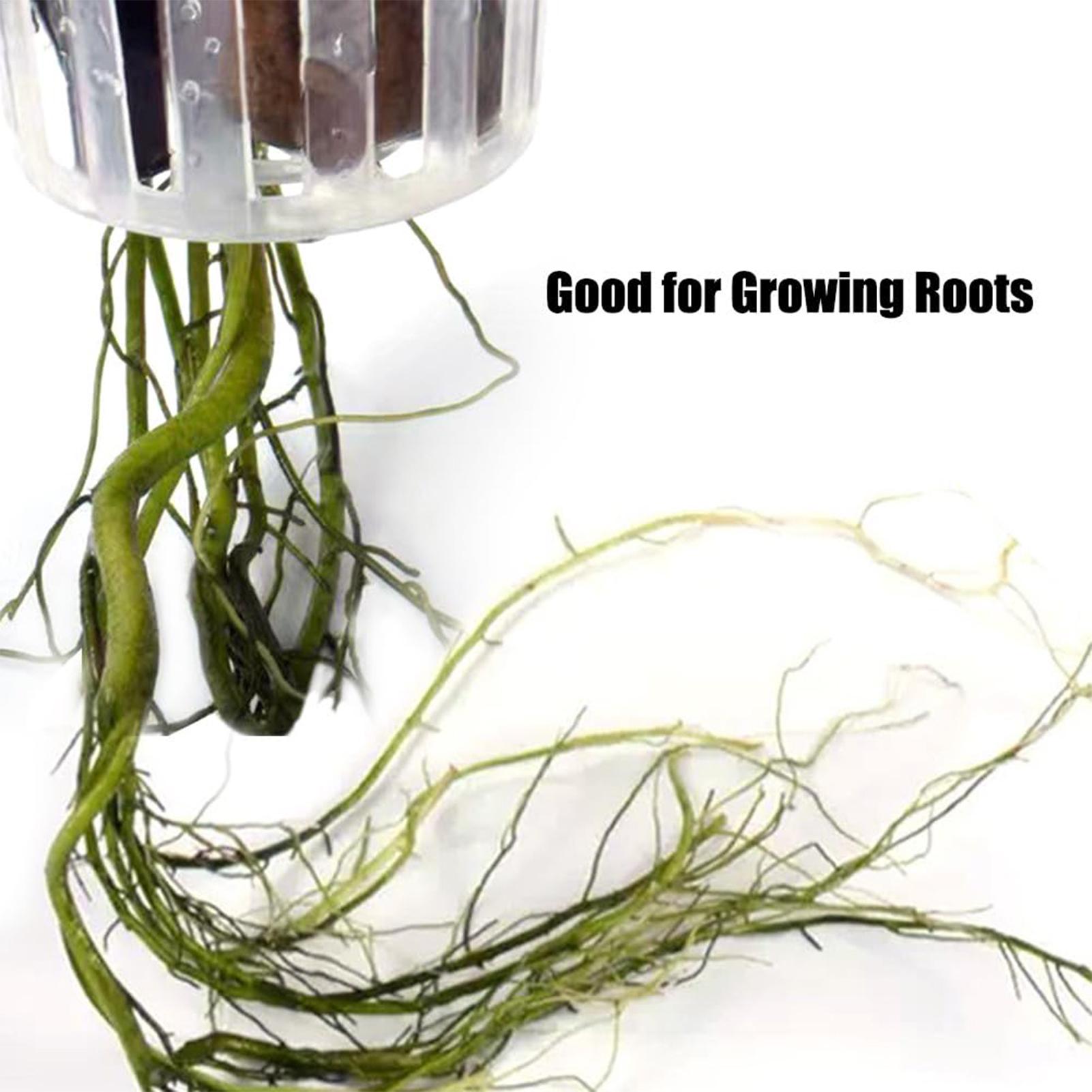 2 шт. подвесных держателя для  – обзор и цена Aquarium Plant Holder