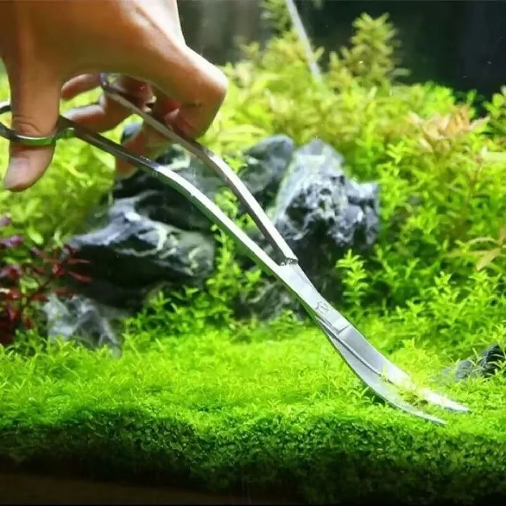 1 шт. Ножницы для аквариума из – обзор и цена Planted Aquarium Cleaning