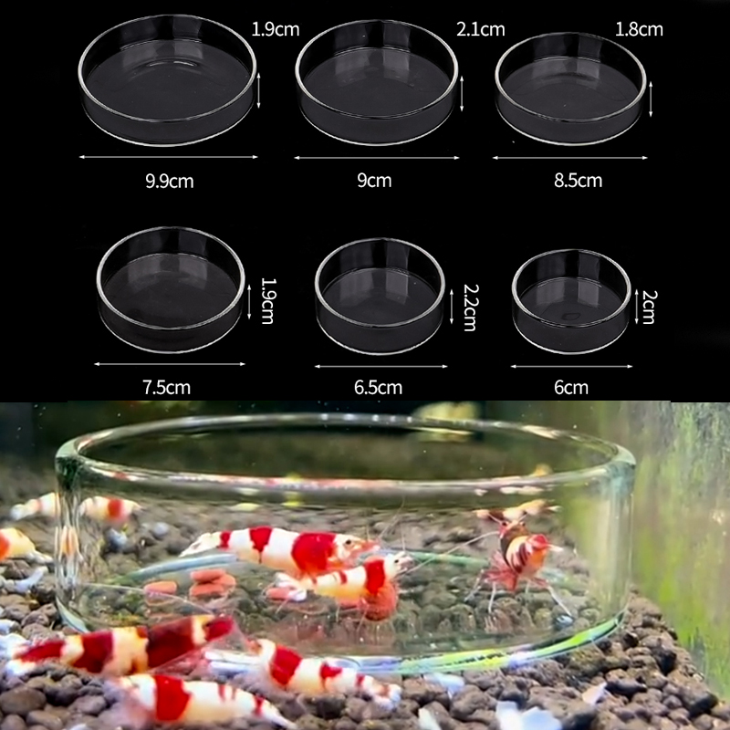 Блюдо для кормления креветок,  – обзор и цена Aquarium Fertilizer