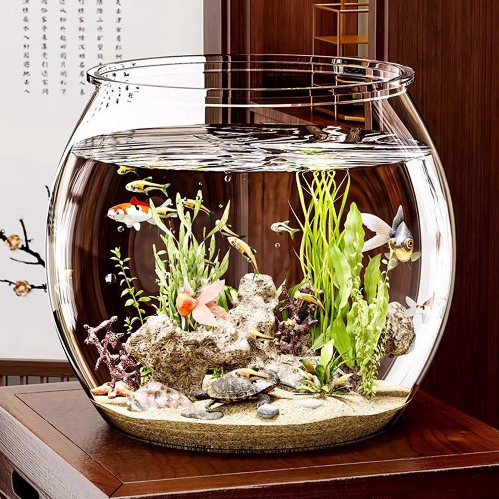 Прозрачная пластиковая круглая – обзор и цена Plant Aquarium Pot