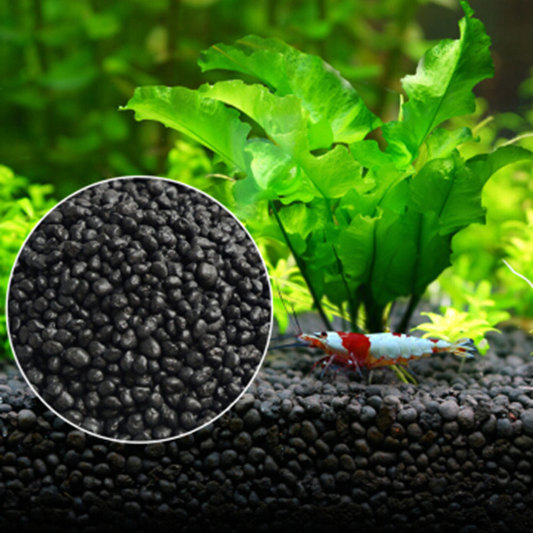 Семена аквариумных растений, п – обзор и цена Aquarium Plant Substrate