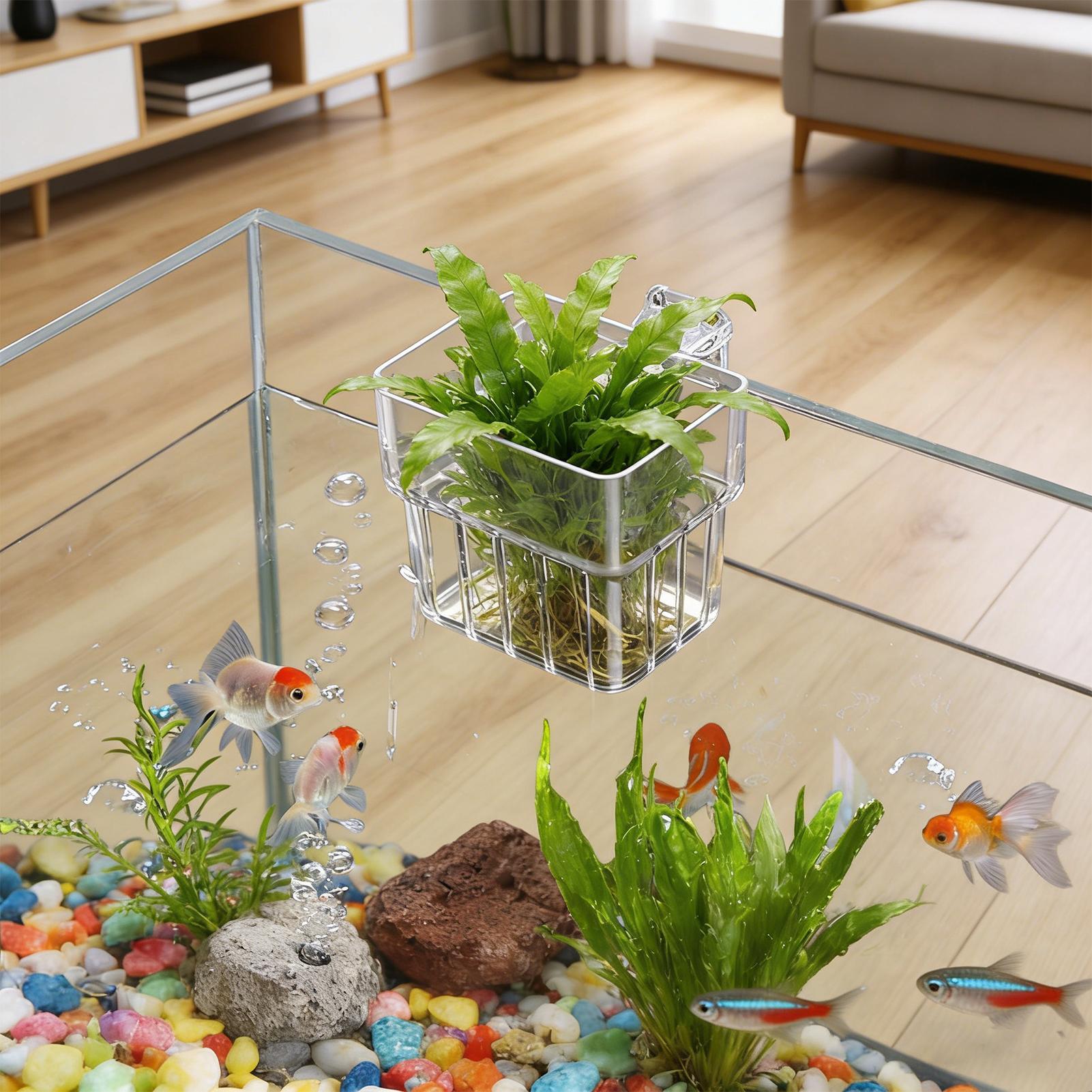 Прозрачный подвесной горшок дл – обзор и цена Plant Aquarium Pot