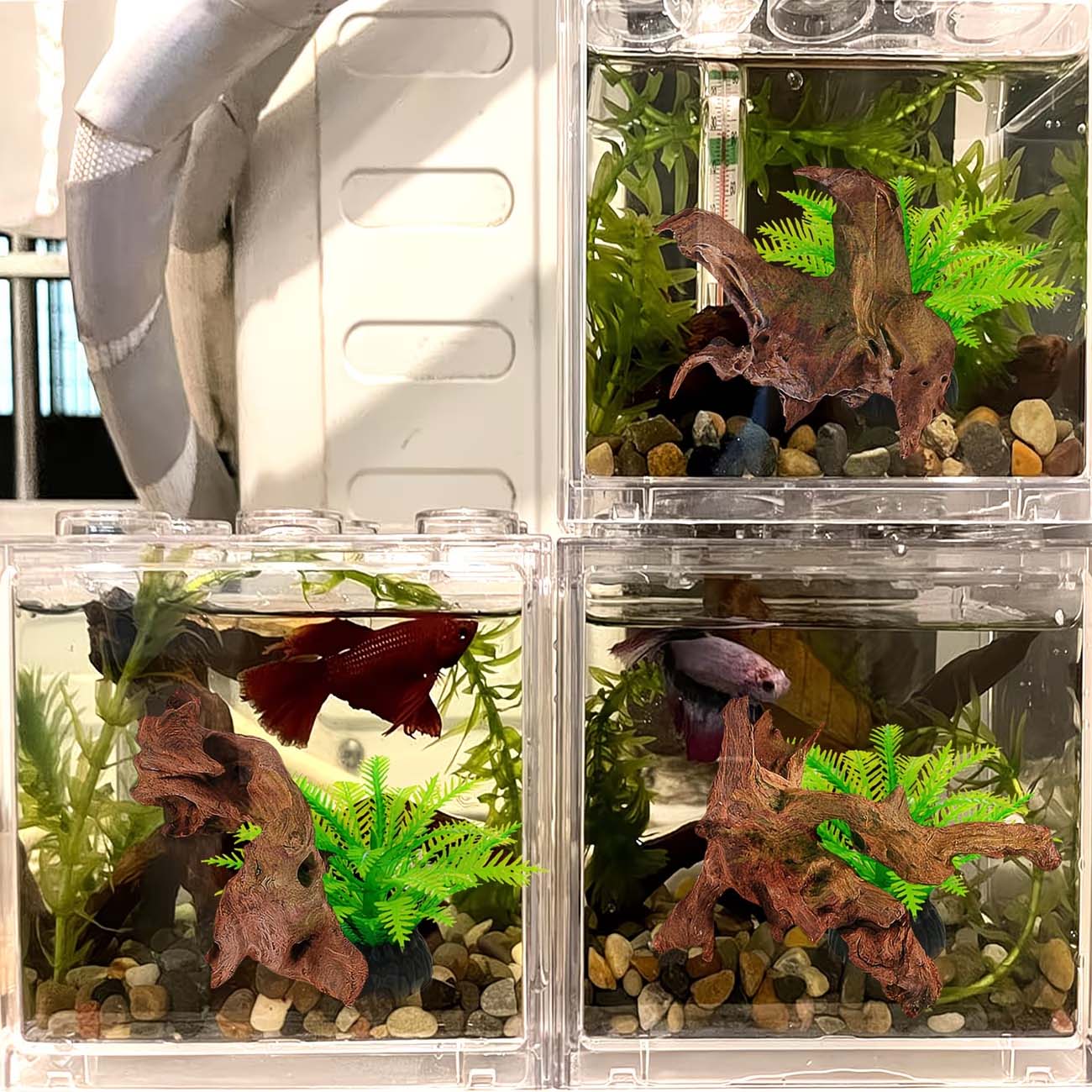 Натуральная тонущая коряга 5-1 – обзор и цена Aquarium Driftwood
