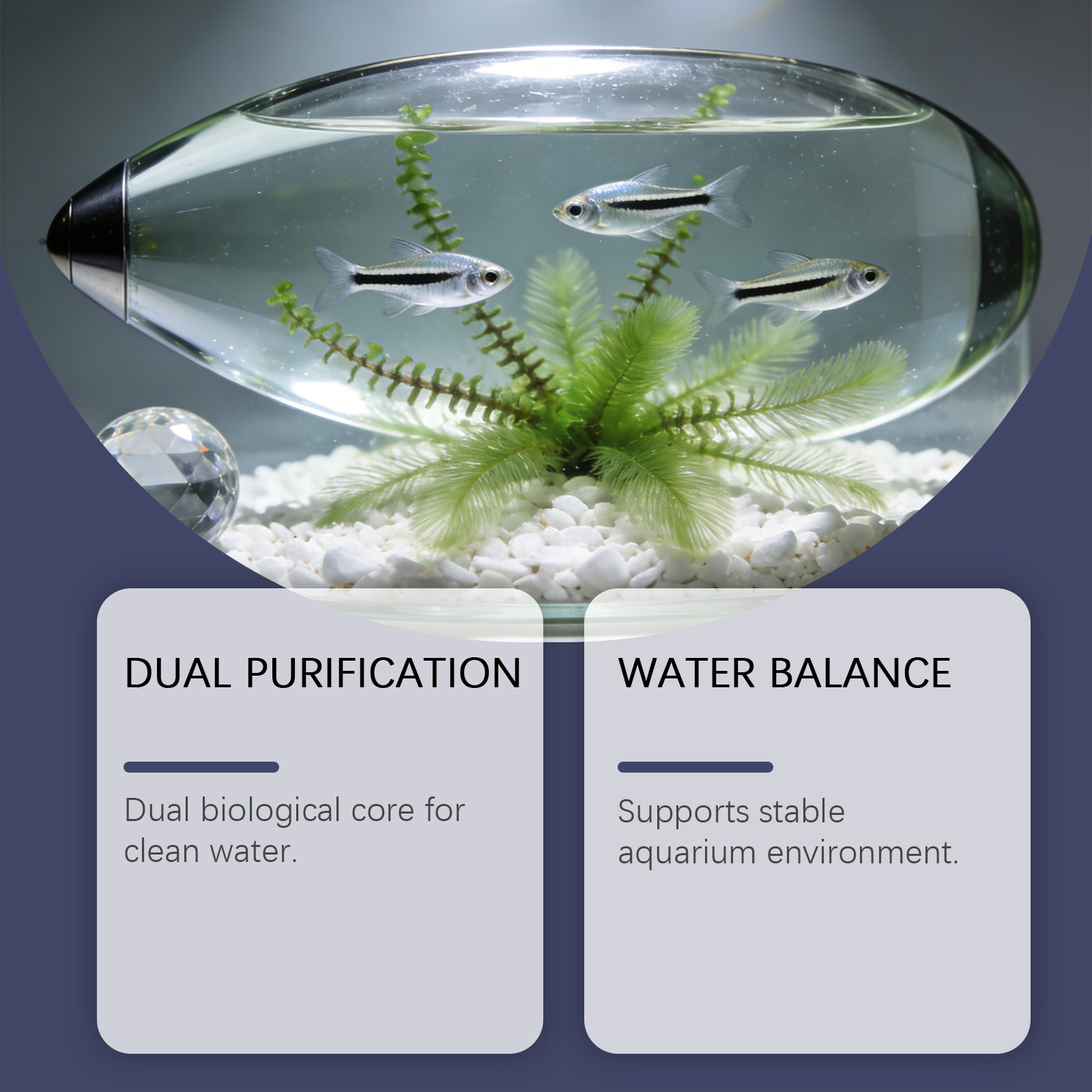 Таблетки для удаления водоросл – обзор и цена Planted Aquarium Algae Control