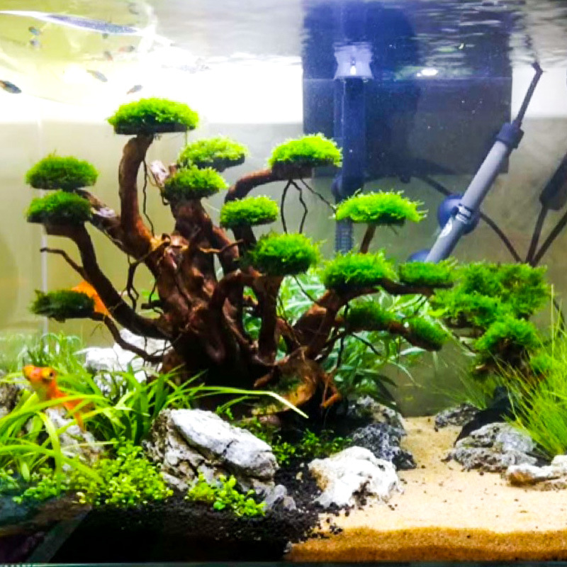 Декоративный элемент для аквар – обзор и цена Aquarium Plant Substrate