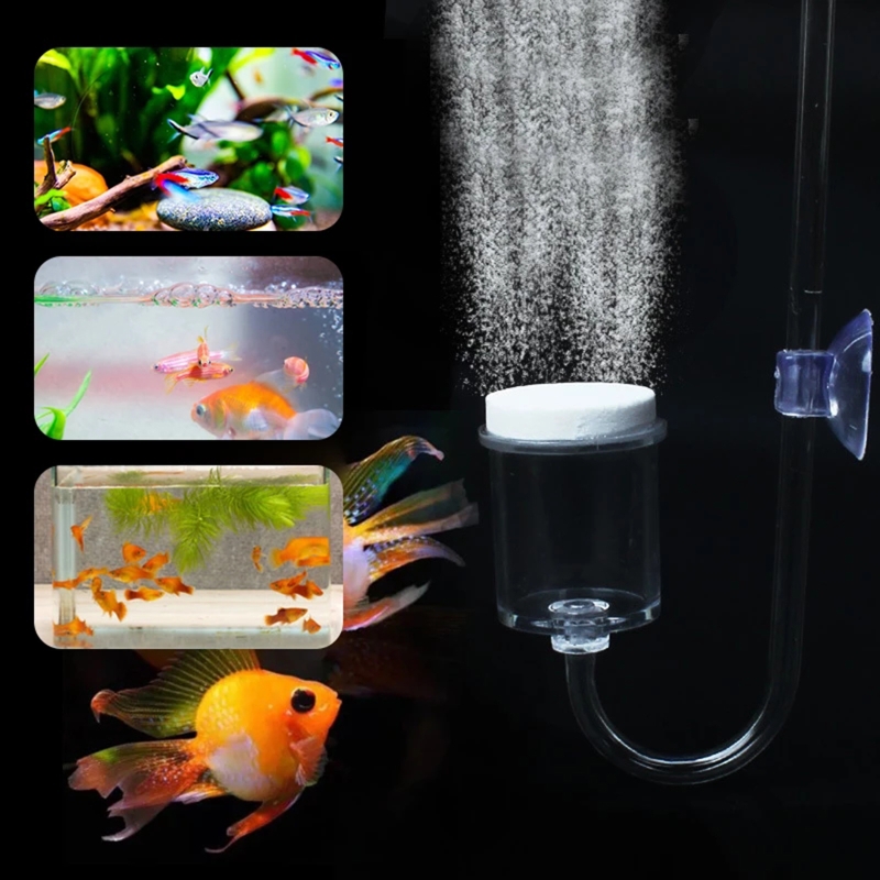 4 шт./набор, соленоидный регул – обзор и цена Aquarium Plants Live
